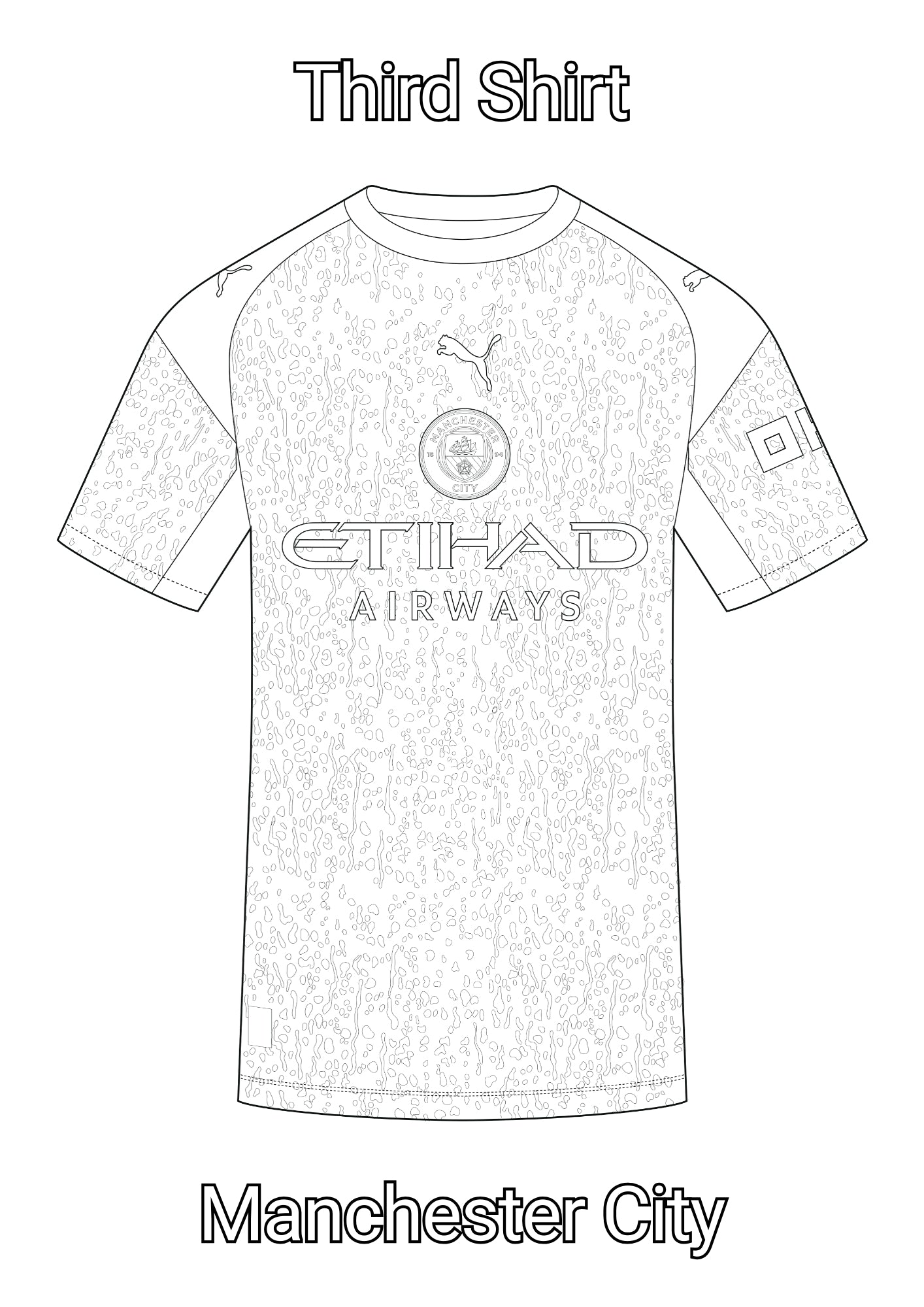Premier League Kit Book